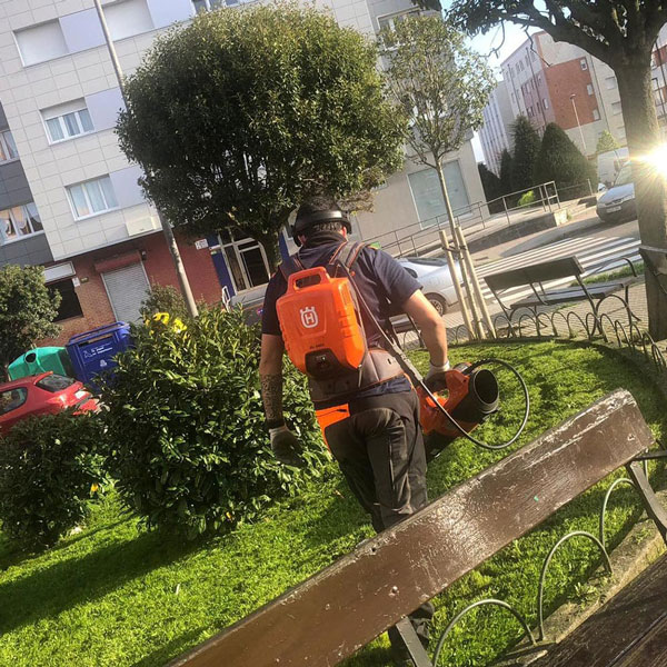 mantenimiento de jardines en gijon